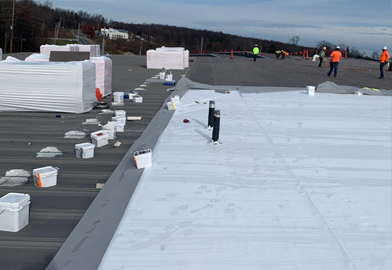 Roof Protection